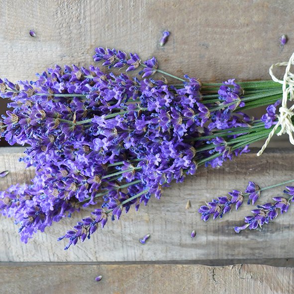 Servíettur 3laga 20stk 33x33cm Natural Lavender